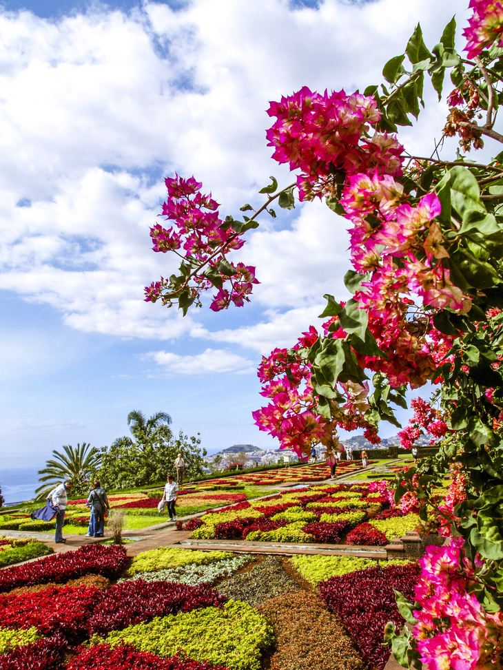 Madeira Botanical Garden