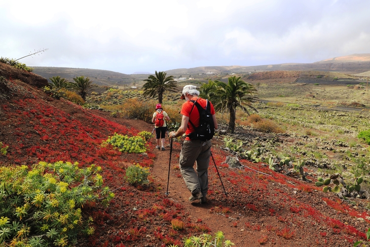 Wanderung auf Lanzarote