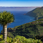 La Palma: Wanderung am Barranco Fagundo im Norden 