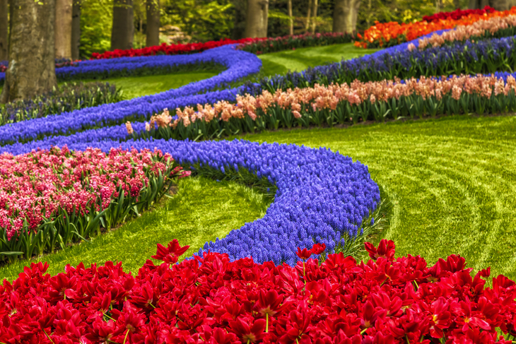 Keukenhof in den Niederlanden