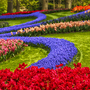 Keukenhof in den Niederlanden