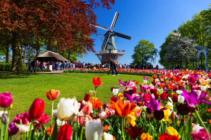 Keukenhof in den Niederlanden