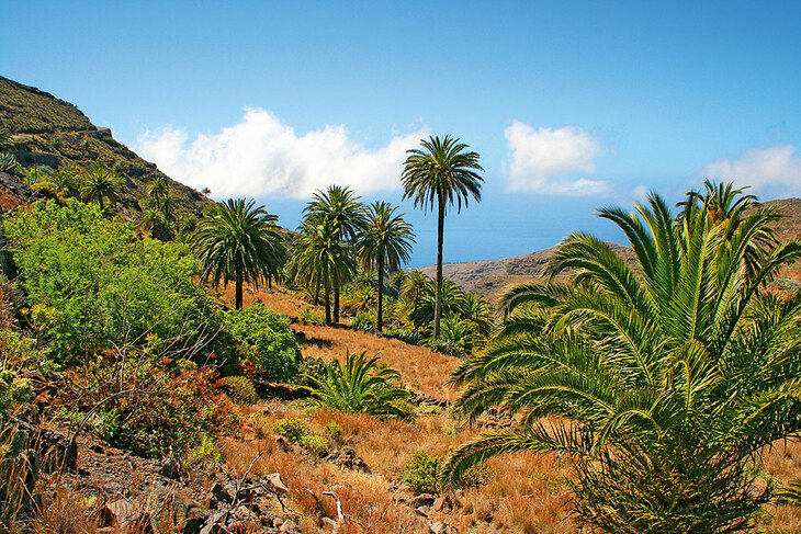 La Gomera