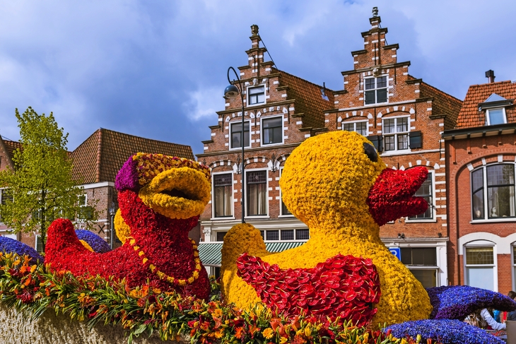 Blumenparade von Noordwijk nach Haarlem, Niederlande