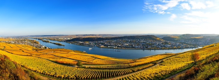 Rüdesheim am Rhein im Herbst